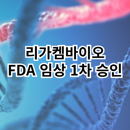 리가켐바이오-FDA-임상1차